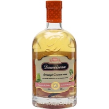 Damoiseau Rhum Goyave & Vanille 30% 0,7 l (čistá fľaša)