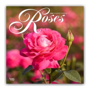 Browntrout Verlags GmbH Roses - Rosen 2026 - 16-Monatskalender