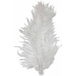 TITANUM Feathers turkey fluff 9-15cm white 50pcs