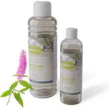 Chemoform Camena Spa Saunová esencia Motýlí ker 250 ml