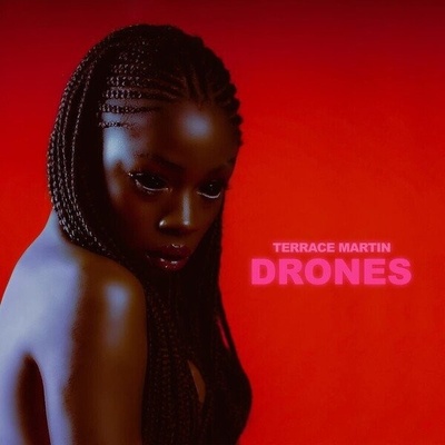 TERRACE, MARTIN - DRONES LP