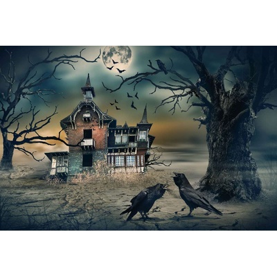 DIMEX ART Флизелинов фототапет страшна къща 375 x 250 см