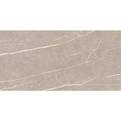 EBS Elit 60 x 120 cm greige lesklá 1,44m²