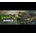 Turok Bundle