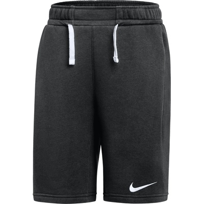Nike Park 26 Fleece Kids ib1242-010