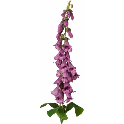 Boltze Stonek květ fialový 90 cm