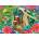 Enjoy - Puzzle Sweet Sloths - 1 000 piese