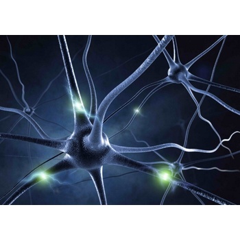 Pohlednice 3D Neuron