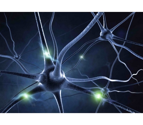 Pohlednice 3D Neuron