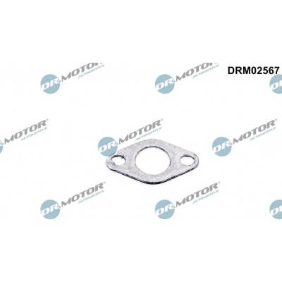 Těsnění, ventil sekundárního vzduchu Dr.Motor Automotive DRM02567