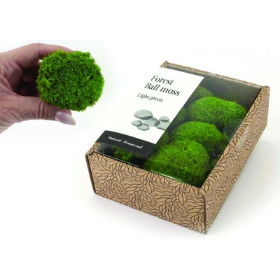 KreaBox - Kopčekový mach - Ball moss ( svetlo zelený )