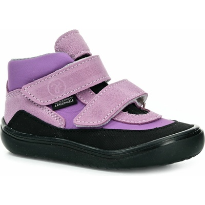 Jonap Look Orchid celoroční