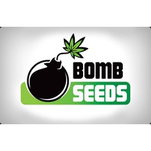 Bomb Seeds Bubble Bomb semena neobsahují THC 5 ks