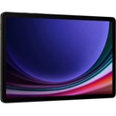 Samsung Galaxy Tab S9 5G SM-X716BZAEEUE