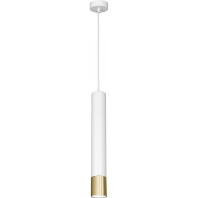 Luminex 1562