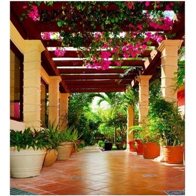 DIMEX ART Флизелинов фототапет тераса 225 x 250 см