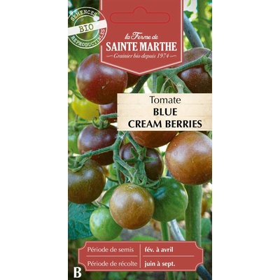 La Ferme de Sainte Marthe Paradajka "Blue Cream Bobule" 1 bal.