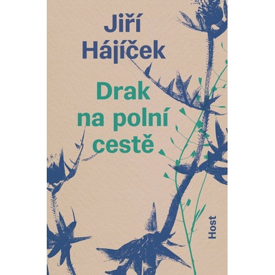 Drak na polní cestě - Hájíček Jiří