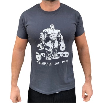 Musashi Тениска Temple of Pain - Сива S