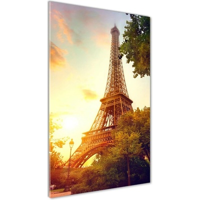 Vertikálny foto obraz sklenený Eiffelová veža Paríž 50x100 cm