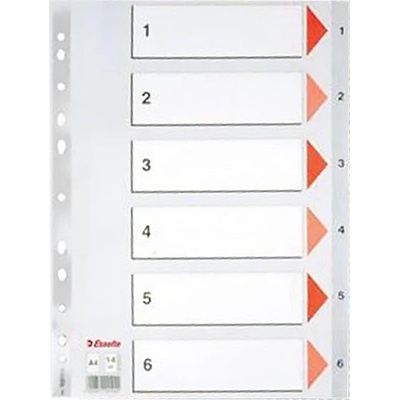 ESSELTE Регистър, пластмасов, a4, 1-6, esselte, сив 100104 (100104)
