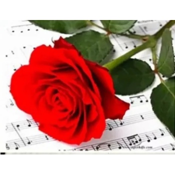 Image 1 of Червена роза върху нотен лист 40/30 см