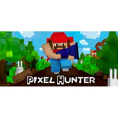 Lemondo Entertainment Pixel Hunter (PC)