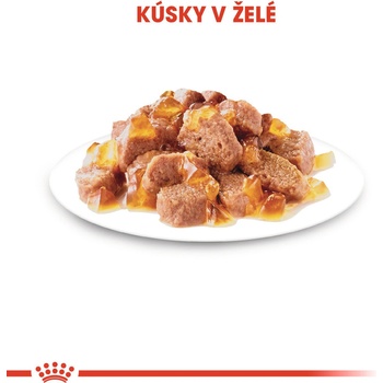 Royal Canin Ageing 12+ v želé 12 x 85 g