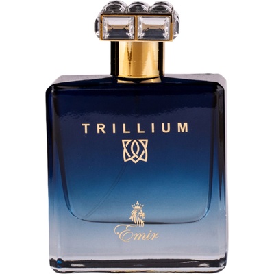 Emir Trillium EDP 100 ml