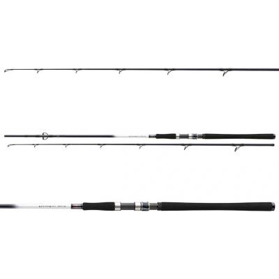 Daiwa Grandwave Pollock 2,4 m 40-100 g 2 Diely