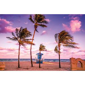 DIMEX ART Флизелинов фототапет холивудски плаж 375 x 250 см