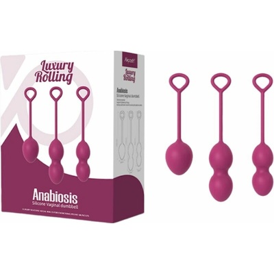Armony Anabiosis Vaginal Dumbbell 3 Levels
