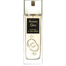 Alyssa Ambre Gris parfémovaná voda dámská 50 ml