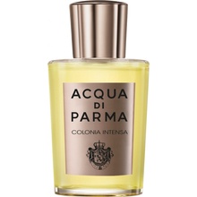 Acqua di Parma Colonia Intensa kolínská voda pánská 100 ml tester