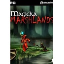Magicka: Marshlands