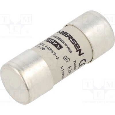 SCHNEIDER ELECTRIC DF2FN63 Pojistka: tavná; gG; 63A; 500VAC; keramická; 22x58mm