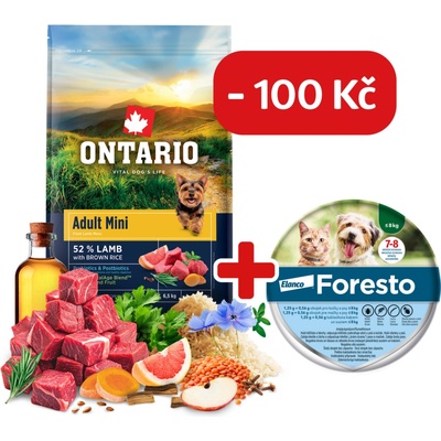 Ontario Adult Mini Lamb & Brown Rice 6,5 kg