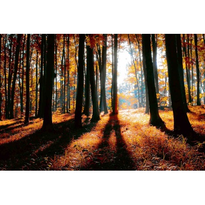 DIMEX ART Флизелинов фототапет цветна есенна гора 375 x 250 см