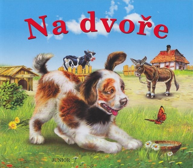 Na dvoře