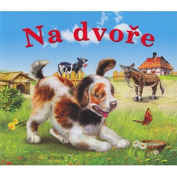 Na dvoře
