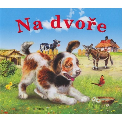 Na dvoře