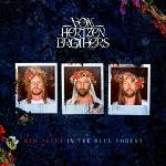 Warner Von Hertzen Brothers: Red Alert In The Blue Forest - CD (048171)