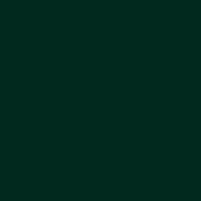 Alkyton Hladký RAL 6009 0,75L