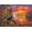 SunsOut - Puzzle Fishing Camp 500XXL - 500 piese