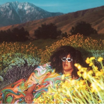 Brittany Howard - What Now CD