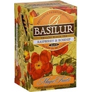 Basilur Magic Raspberry & Rosehip 20 x 2 g