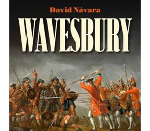 Wavesbury - David Návara
