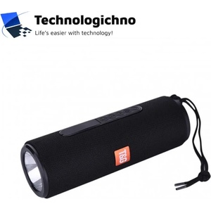 T&G TG-604 Портативна тонколона