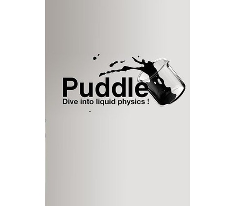 Puddle