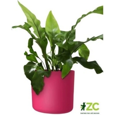 PLASTKON květináč Lora 18 cm viva magenta